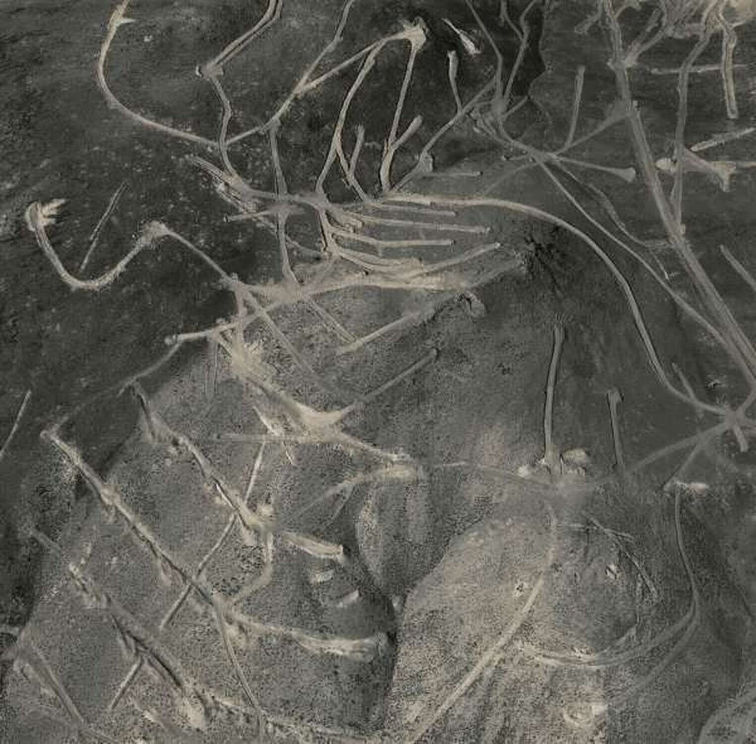 Mining Exploration near Carson City, Nevada Emmet Gowin Fotografie zu verkaufen
