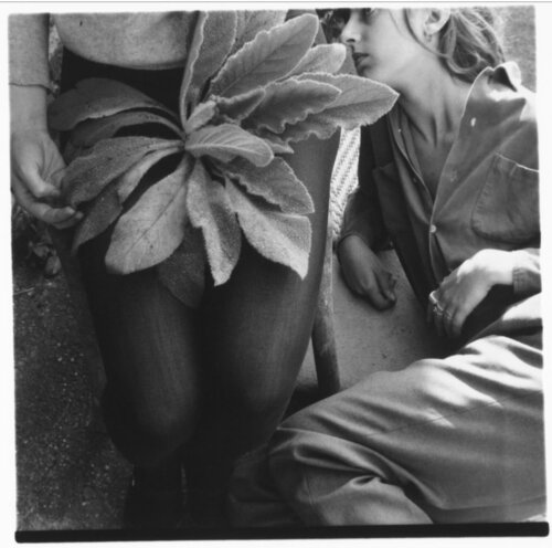 Untitled, Antella, Italy by Francesca Woodman, 인쇄 for Sale on Singulart