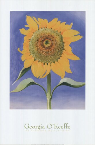 Sunflower, New Mexico von Georgia O'Keeffe, Druck kaufen auf Singulart