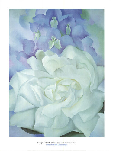 White Rose with Larkspur No.2 von Georgia O'Keeffe, Druck kaufen auf Singulart