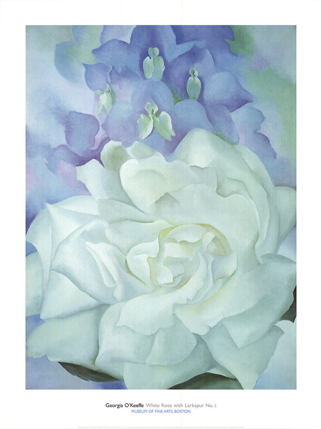 White Rose with Larkspur No.2 Georgia O'Keeffe Druck zu verkaufen