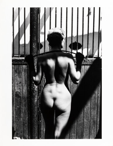 Roselyn at Arcangues di Helmut Newton, Fotografia in vendita su Singulart