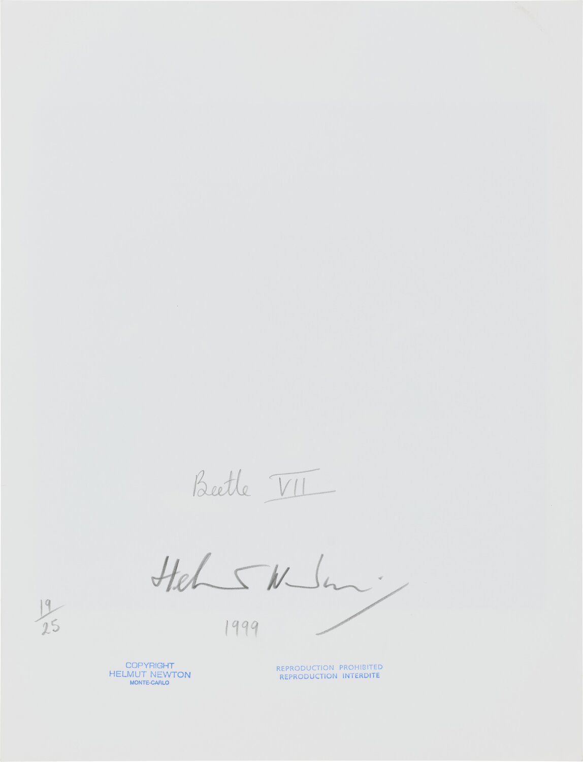 Beetle VII Helmut Newton Photography for sale