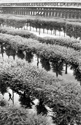 Palais-Royal, Paris van Henri Cartier-Bresson, Fotografie te koop op Singulart