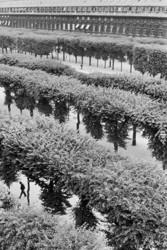 Jardins du Palais Royal van Henri Cartier-Bresson, Fotografie te koop op Singulart