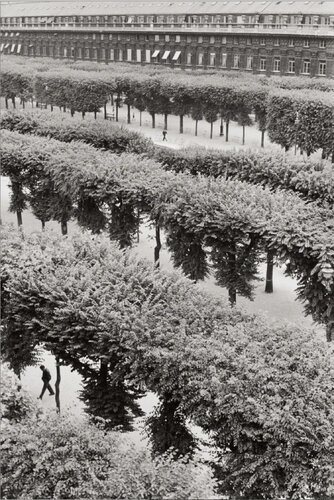 Gardens of the Palais Royal, Paris van Henri Cartier-Bresson, Fotografie te koop op Singulart