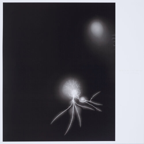 History of History: Lightning Fields 057 van Hiroshi Sugimoto, Afdruk te koop op Singulart