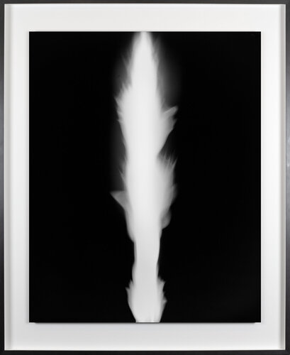 In Praise of Shadows 980728 van Hiroshi Sugimoto, Fotografie te koop op Singulart