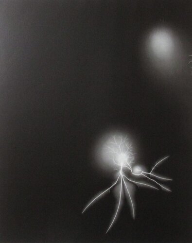 Lighting Fields 057 van Hiroshi Sugimoto, Fotografie te koop op Singulart