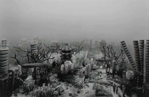 Upper Devonian Period van Hiroshi Sugimoto, Fotografie te koop op Singulart