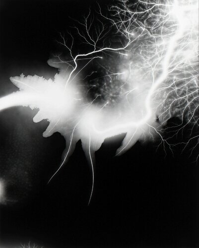Lightning Fields 168 di Hiroshi Sugimoto, Fotografia in vendita su Singulart