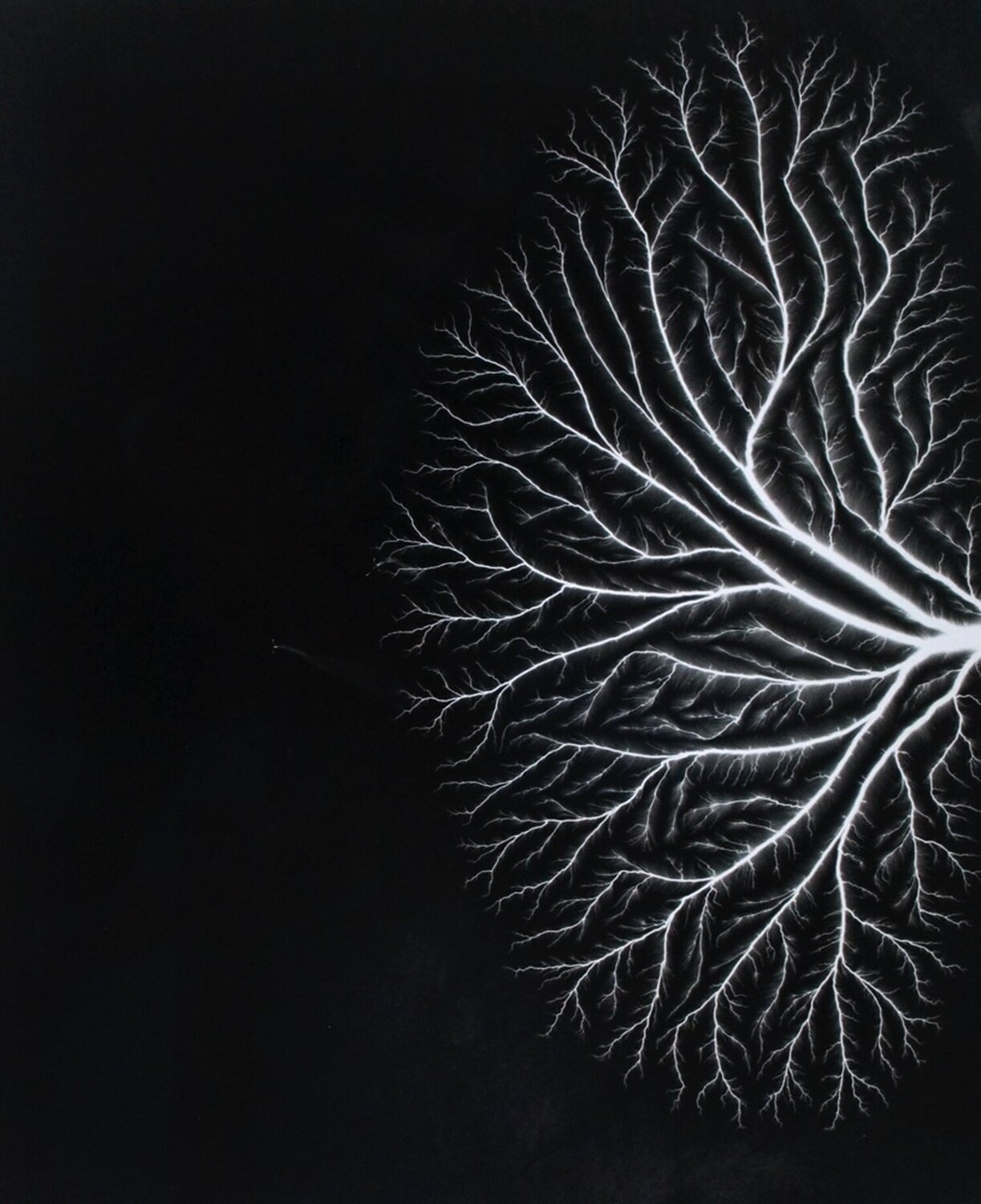 Talbotized 004 Hiroshi Sugimoto