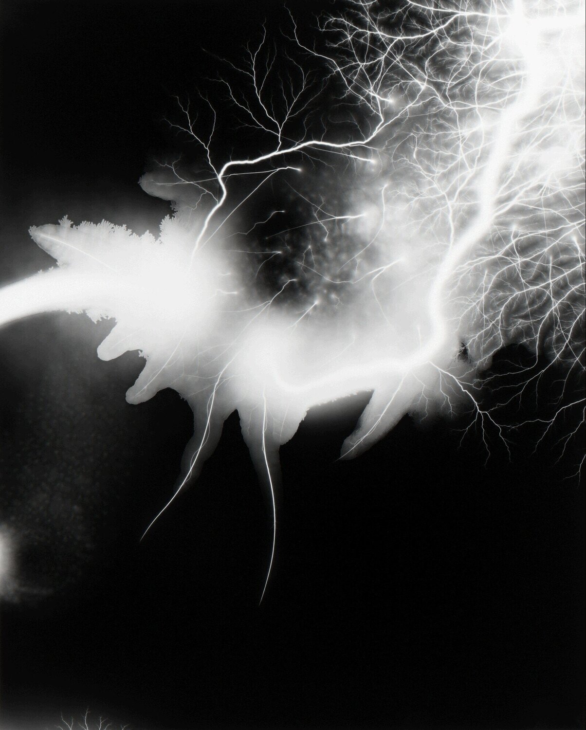 Lightning Fields 168 Hiroshi Sugimoto
