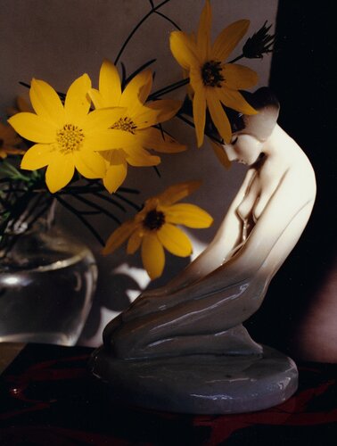 Coreopsis van Horst P. Horst, Fotografie te koop op Singulart