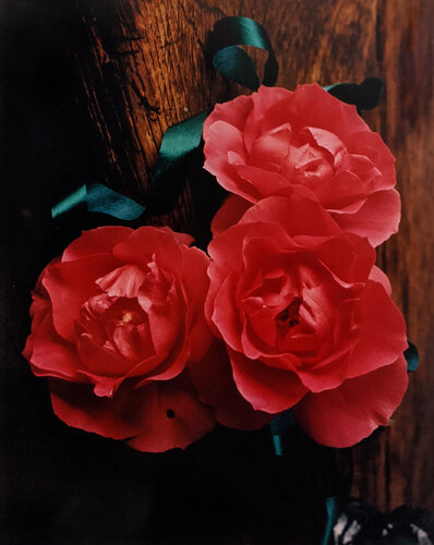 Three Roses van Horst P. Horst, Fotografie te koop op Singulart