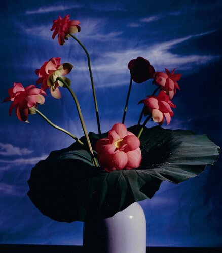 Lotus van Horst P. Horst, Fotografie te koop op Singulart