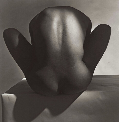 Male Nude II (Backside) van Horst P. Horst, Fotografie te koop op Singulart