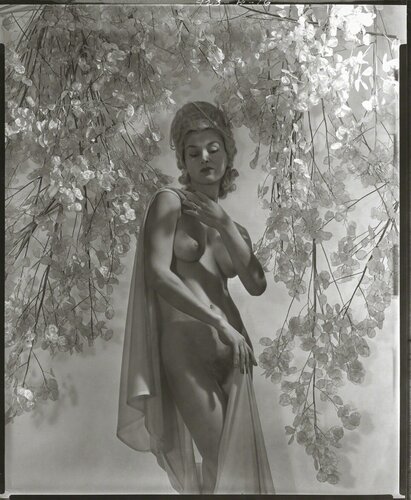 Lisa with Money Plant van Horst P. Horst, Fotografie te koop op Singulart