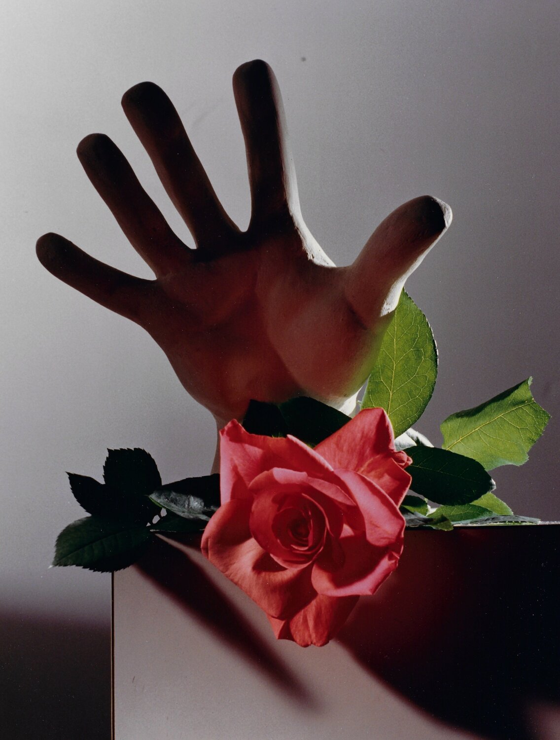Rose with Cast of Michelangelo Hand Horst P. Horst Fotografie zu verkaufen