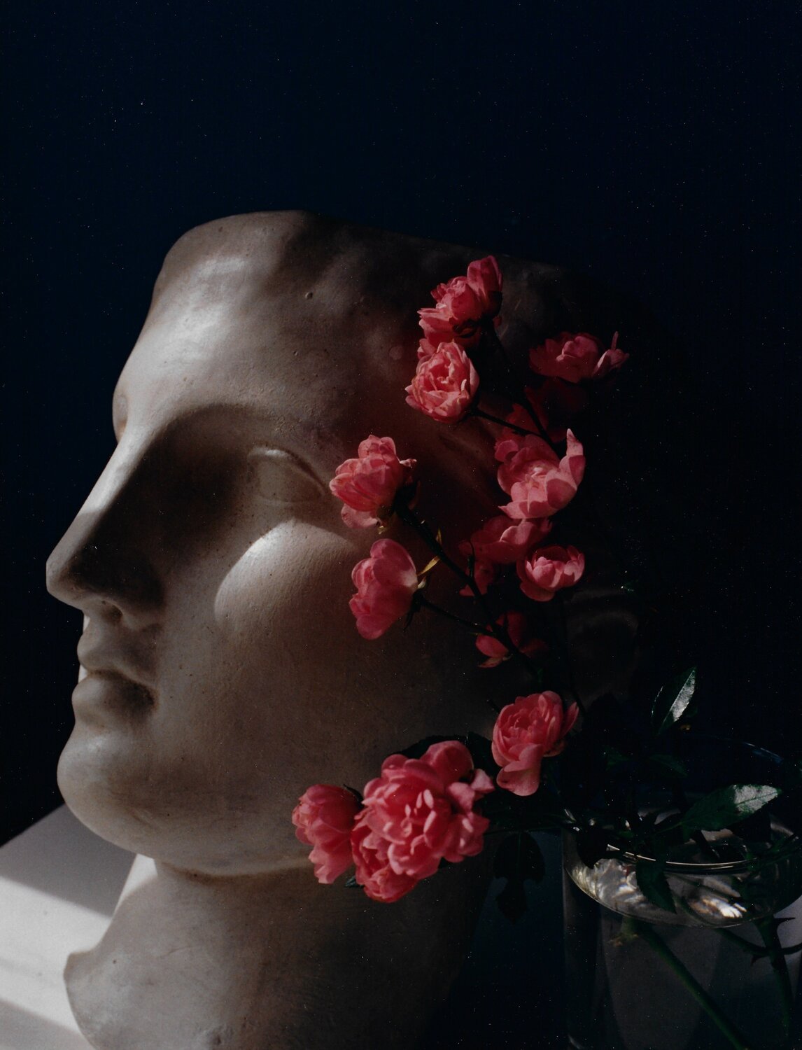 Roses with Antique Head Horst P. Horst Fotografie zu verkaufen
