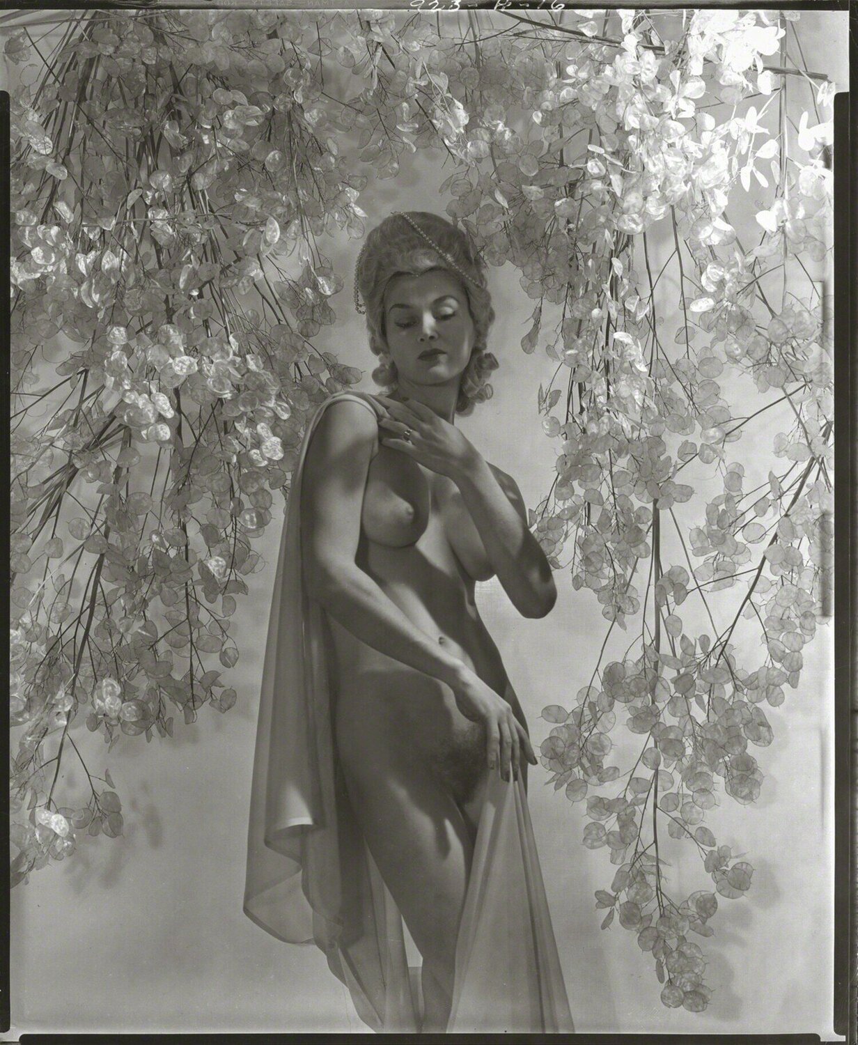 Lisa with Money Plant Horst P. Horst Fotografie zu verkaufen