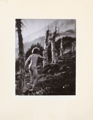 Roi on the Move van Imogen Cunningham, Fotografie te koop op Singulart