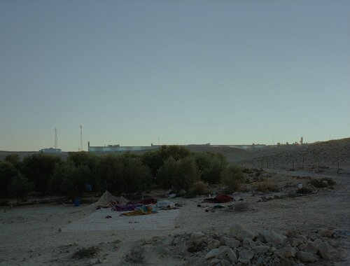 Daybreak (on an olive farm/Negev Desert/Israel) von Jeff Wall, Fotografie kaufen auf Singulart