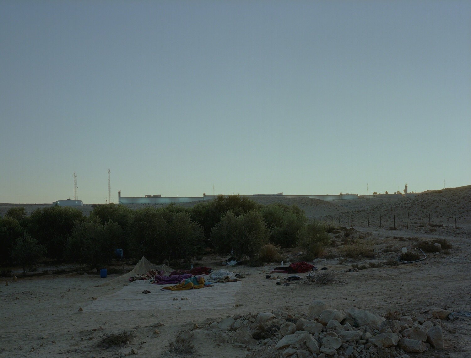 Daybreak (on an olive farm/Negev Desert/Israel) Jeff Wall Fotografie zu verkaufen