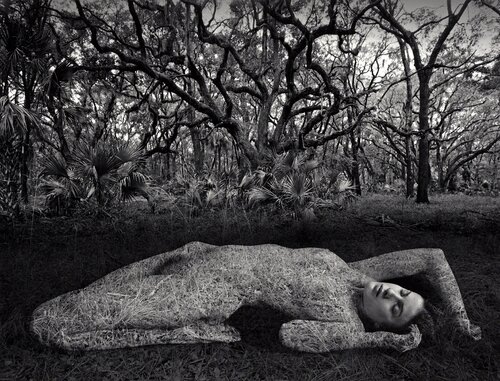 Untitled di Jerry Uelsmann, Fotografia in vendita su Singulart