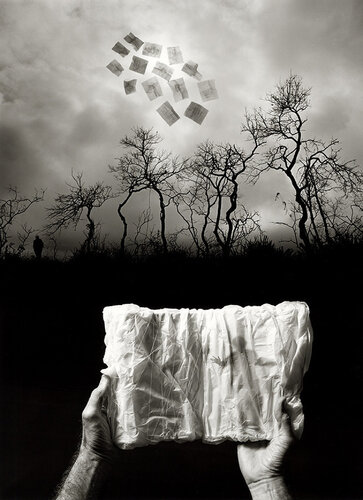 Elusive Journal di Jerry Uelsmann, Fotografia in vendita su Singulart