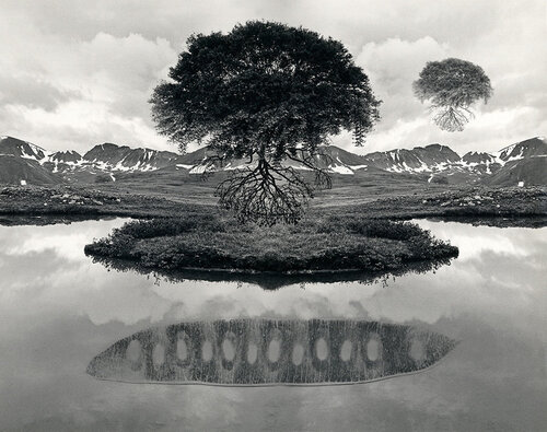 Untitled, 1969 di Jerry Uelsmann, Fotografia in vendita su Singulart