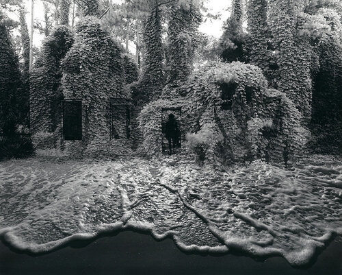 Untitled, 1982 di Jerry Uelsmann, Fotografia in vendita su Singulart