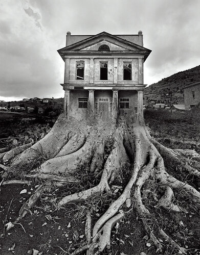 Untitled, 1982 di Jerry Uelsmann, Fotografia in vendita su Singulart