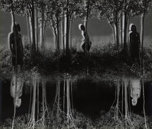 Small Woods Where I Met Myself van Jerry Uelsmann, Fotografie te koop op Singulart