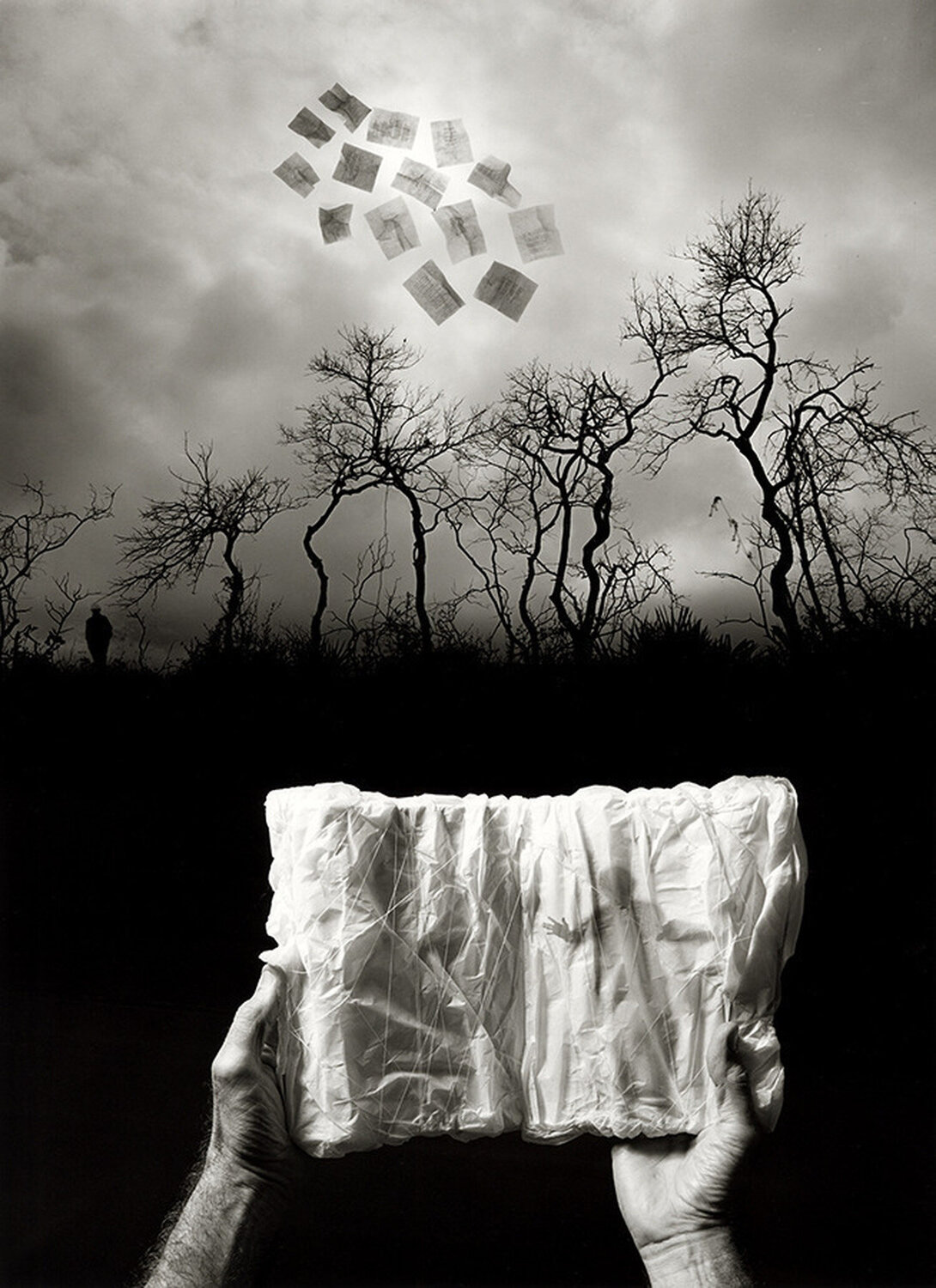 Elusive Journal Jerry Uelsmann