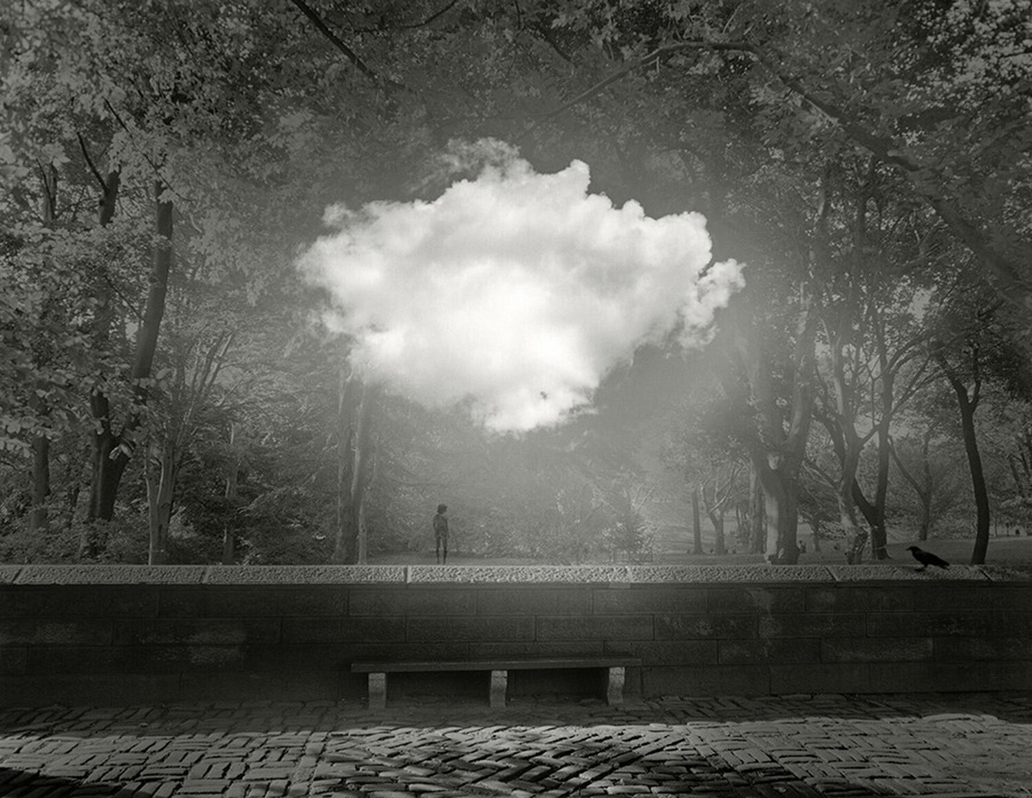 Untitled, 2013 Jerry Uelsmann