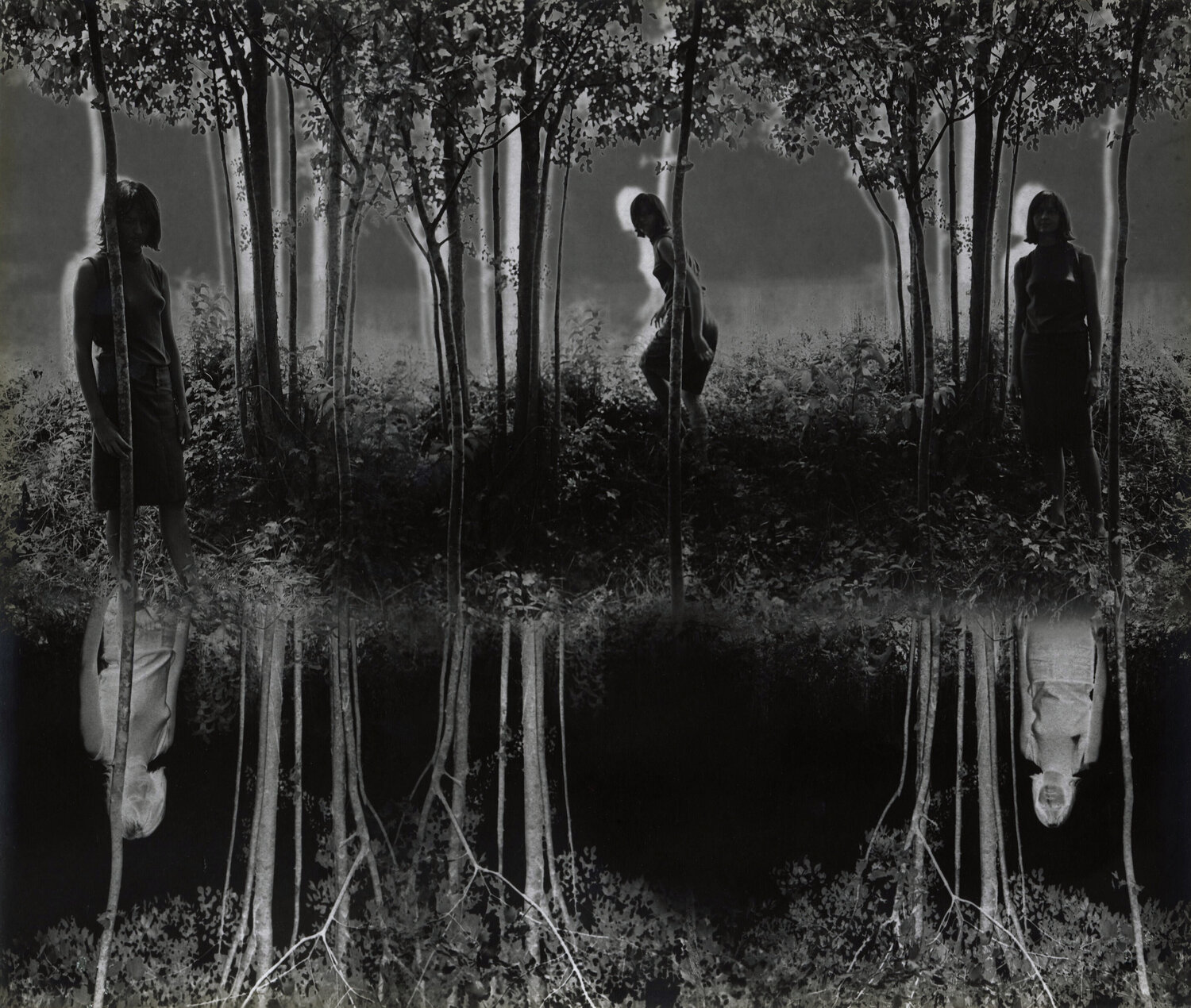 Small Woods Where I Met Myself Jerry Uelsmann