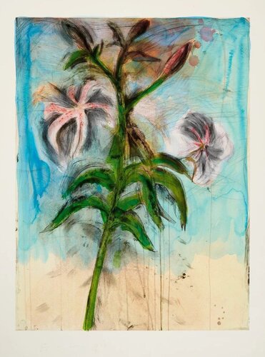 Sky and Lillies van Jim Dine, Afdruk te koop op Singulart