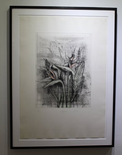 Strelitzia (from the temple of Flora) di Jim Dine, Stampa in vendita su Singulart
