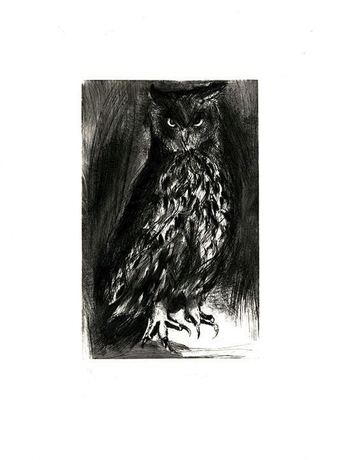 Owl Jim Dine