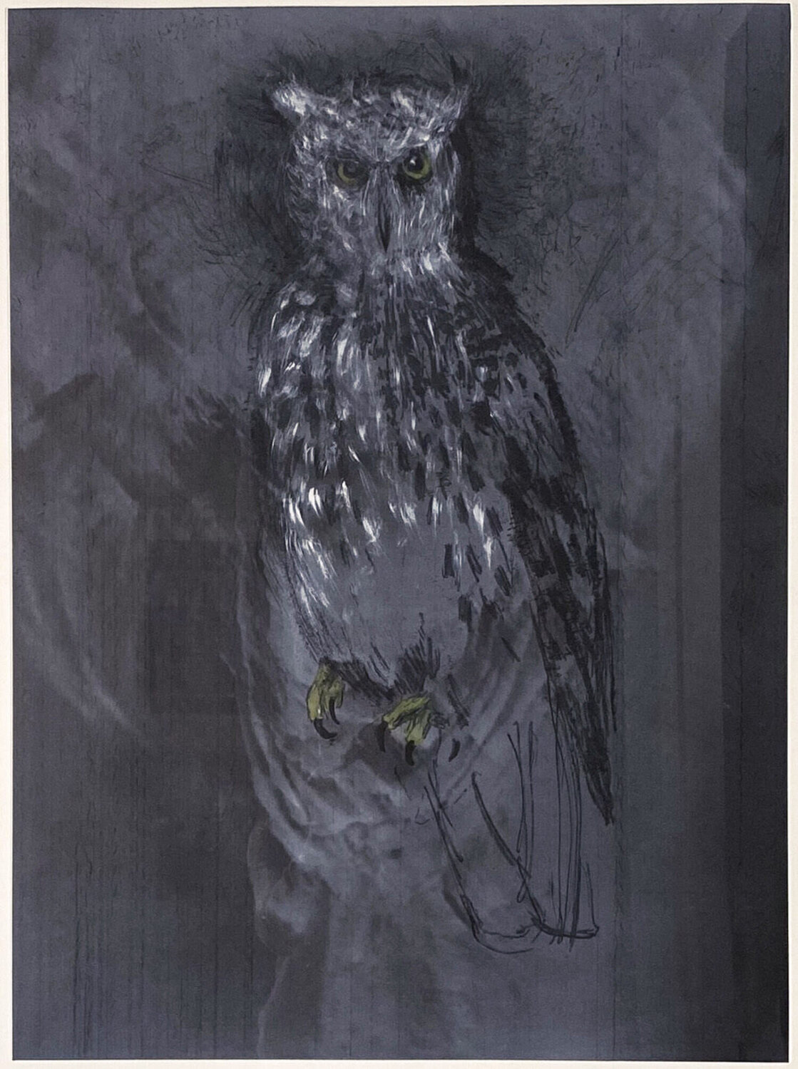 Great Horned Owl Jim Dine