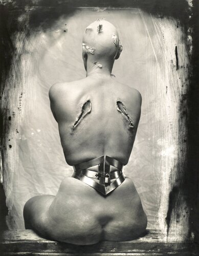 Woman Once a Bird by Joel-Peter Witkin, Photography for Sale on Singulart