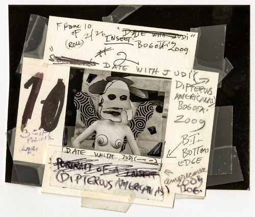 The Fly, Bogota by Joel-Peter Witkin, Photography for Sale on Singulart