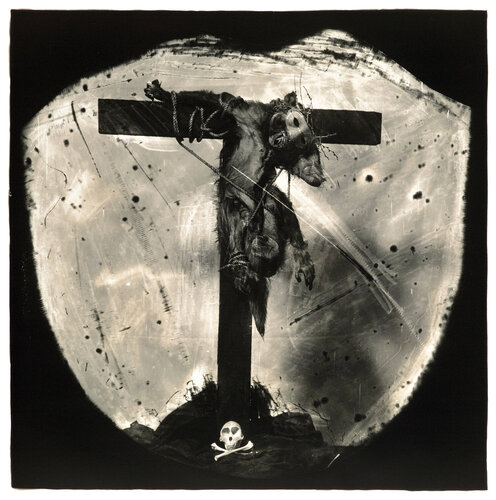 Savior of the Primates by Joel-Peter Witkin, Photography for Sale on Singulart