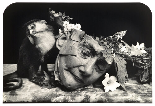 Face of a Woman, Marseilles di Joel-Peter Witkin, Fotografia in vendita su Singulart