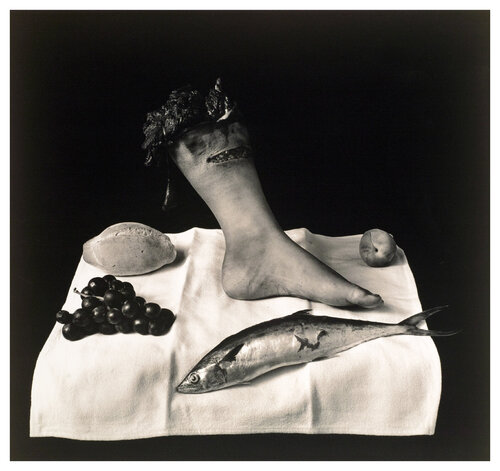 Still Life Mexico, Mexico City di Joel-Peter Witkin, Fotografia in vendita su Singulart