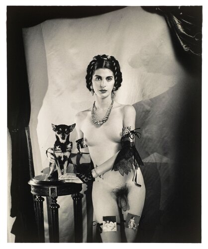 Man with Dog, Mexico City van Joel-Peter Witkin, Fotografie te koop op Singulart