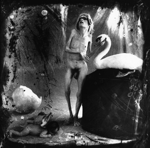 Leda, Los Angeles van Joel-Peter Witkin, Fotografie te koop op Singulart