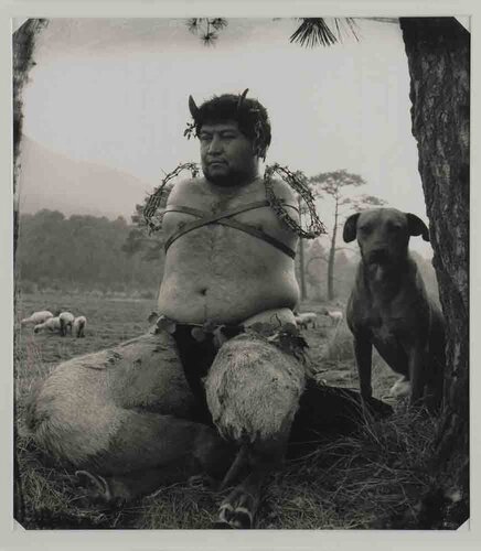 Satiro van Joel-Peter Witkin, Fotografie te koop op Singulart