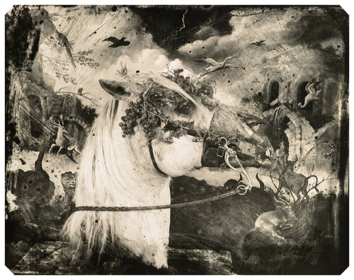 Printemps, NM van Joel-Peter Witkin, Fotografie te koop op Singulart